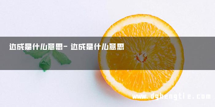 达成是什么意思-达成是什么意思 